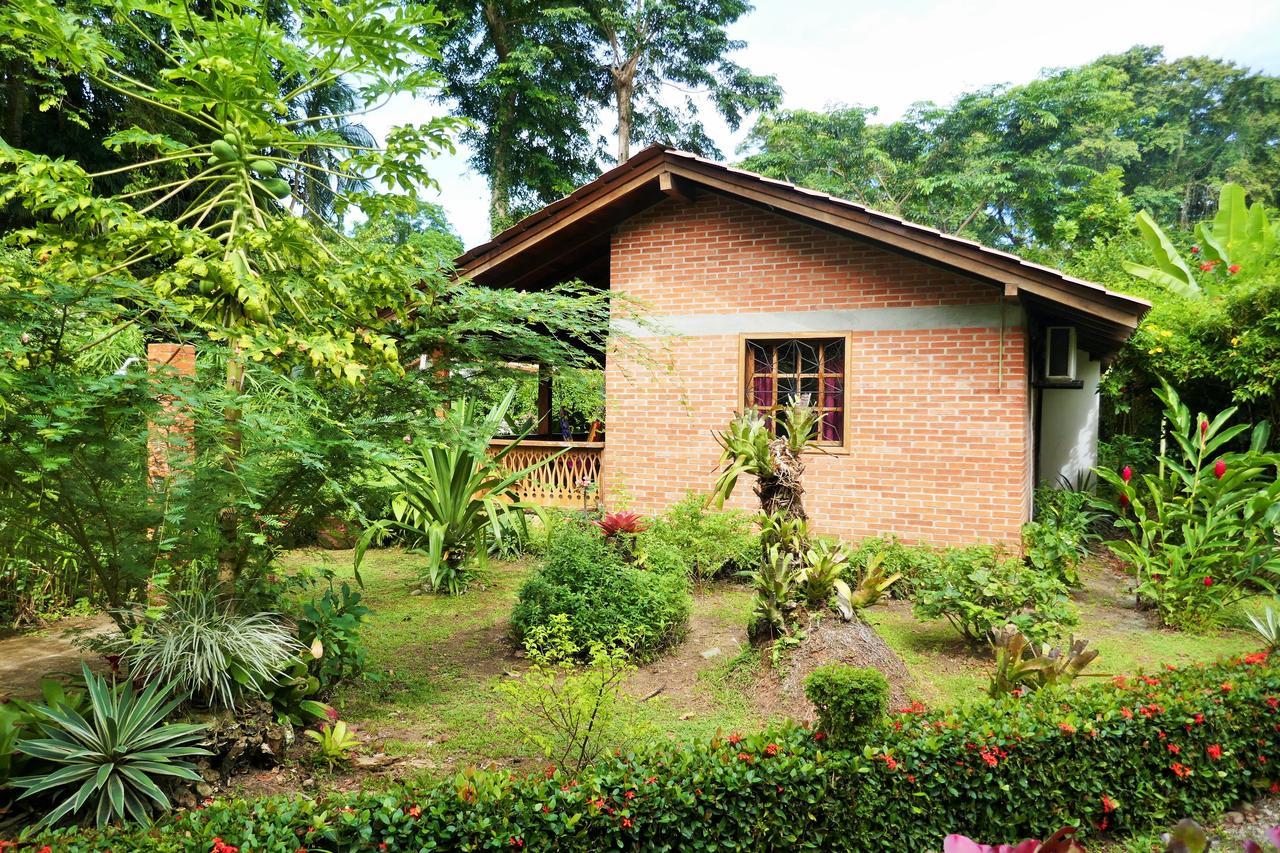 Hotel Escape Caribeno Puerto Viejo de Talamanca Esterno foto